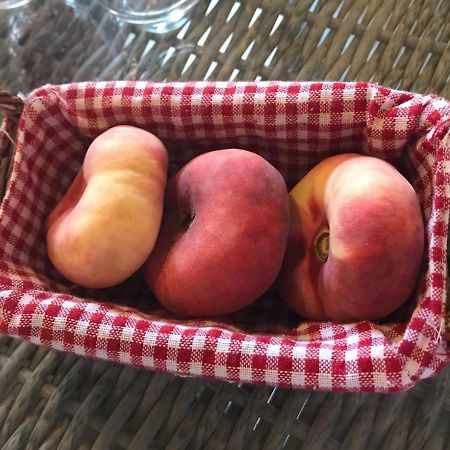 B&B Tour De Saint Anne Azille Экстерьер фото